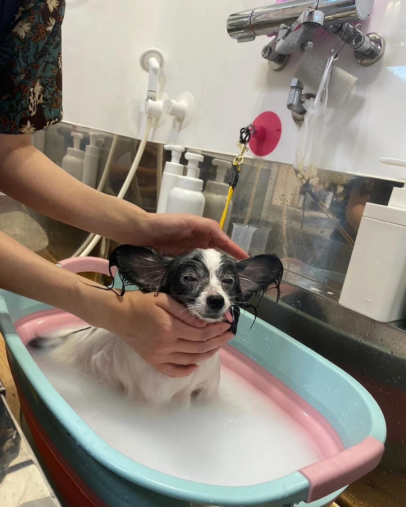 ブログ