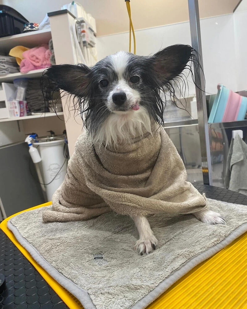 ブログ
