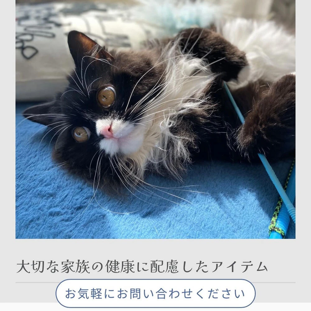ブログ