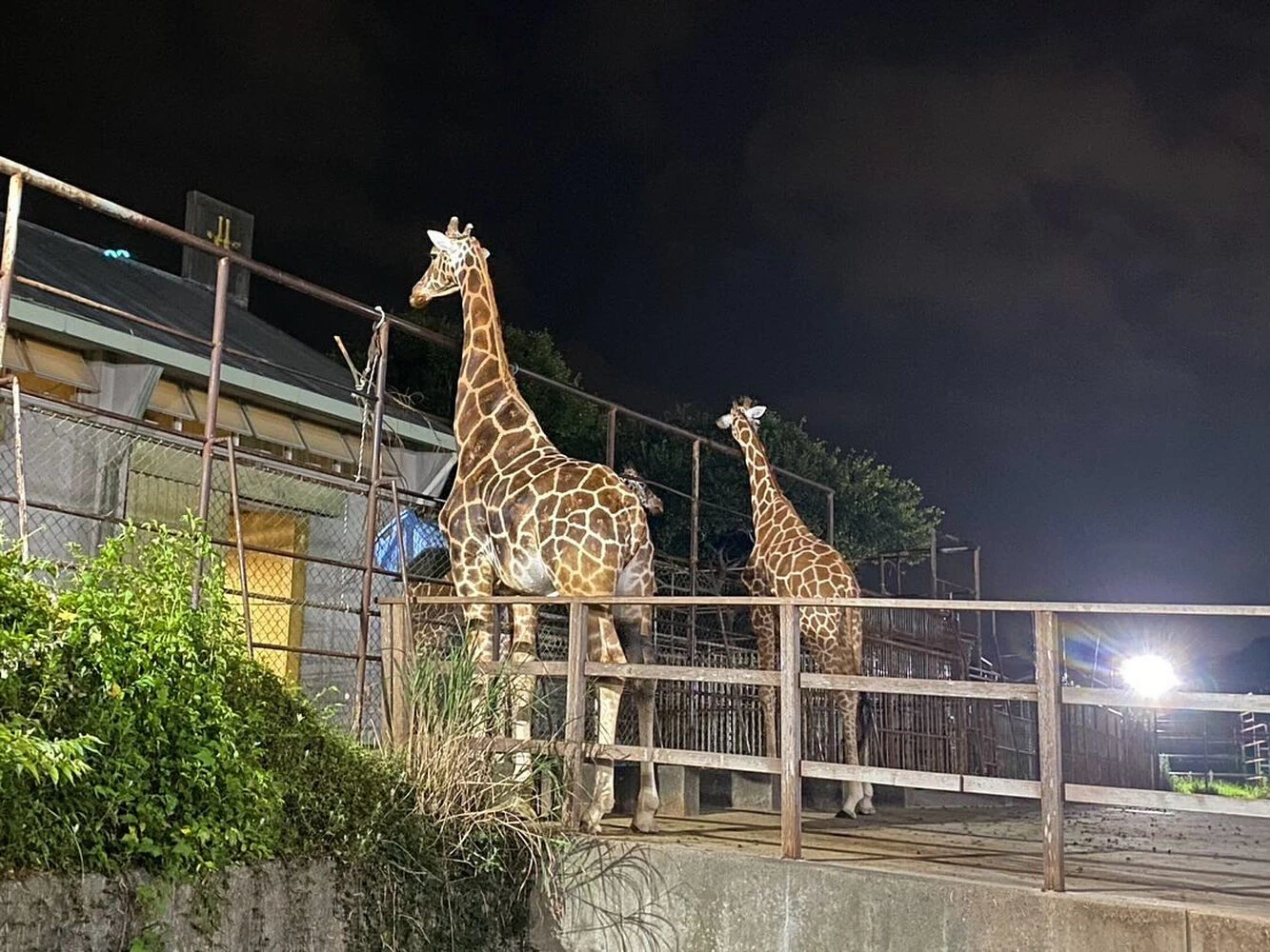ブログ