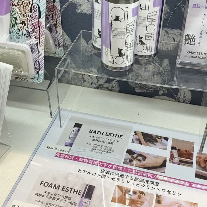 ブログ