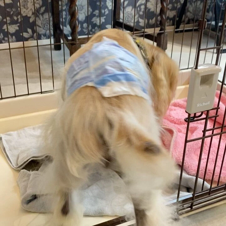 ブログ