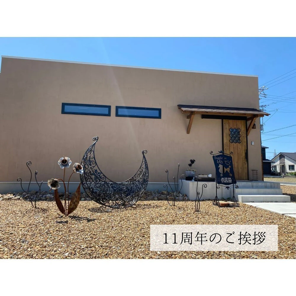ブログ