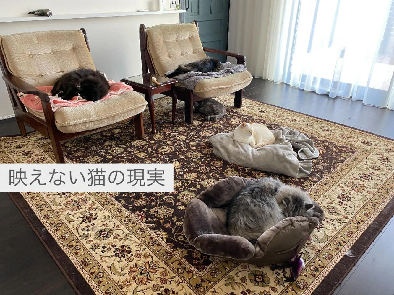 ブログ