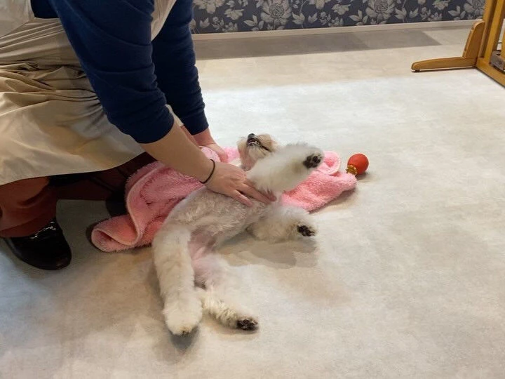 ブログ