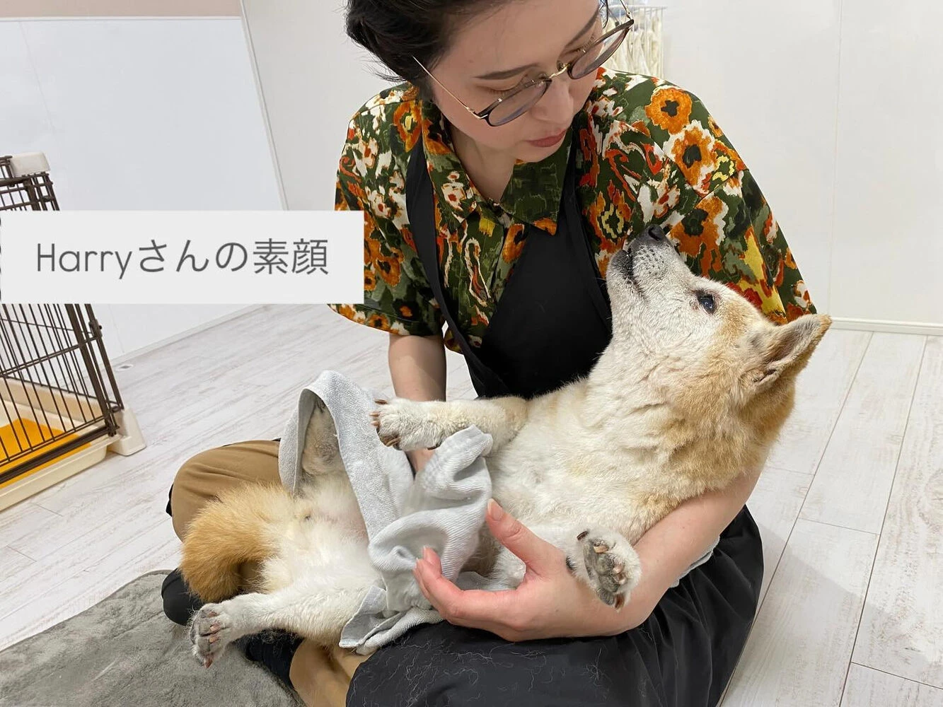 ブログ