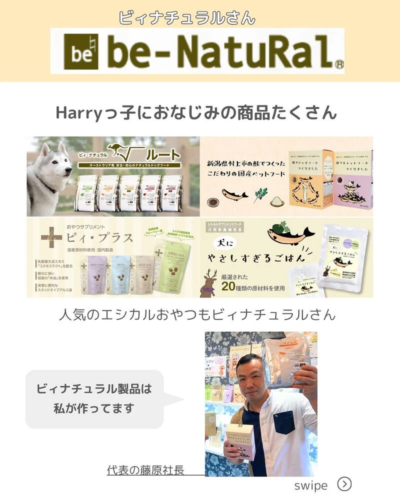 ブログ