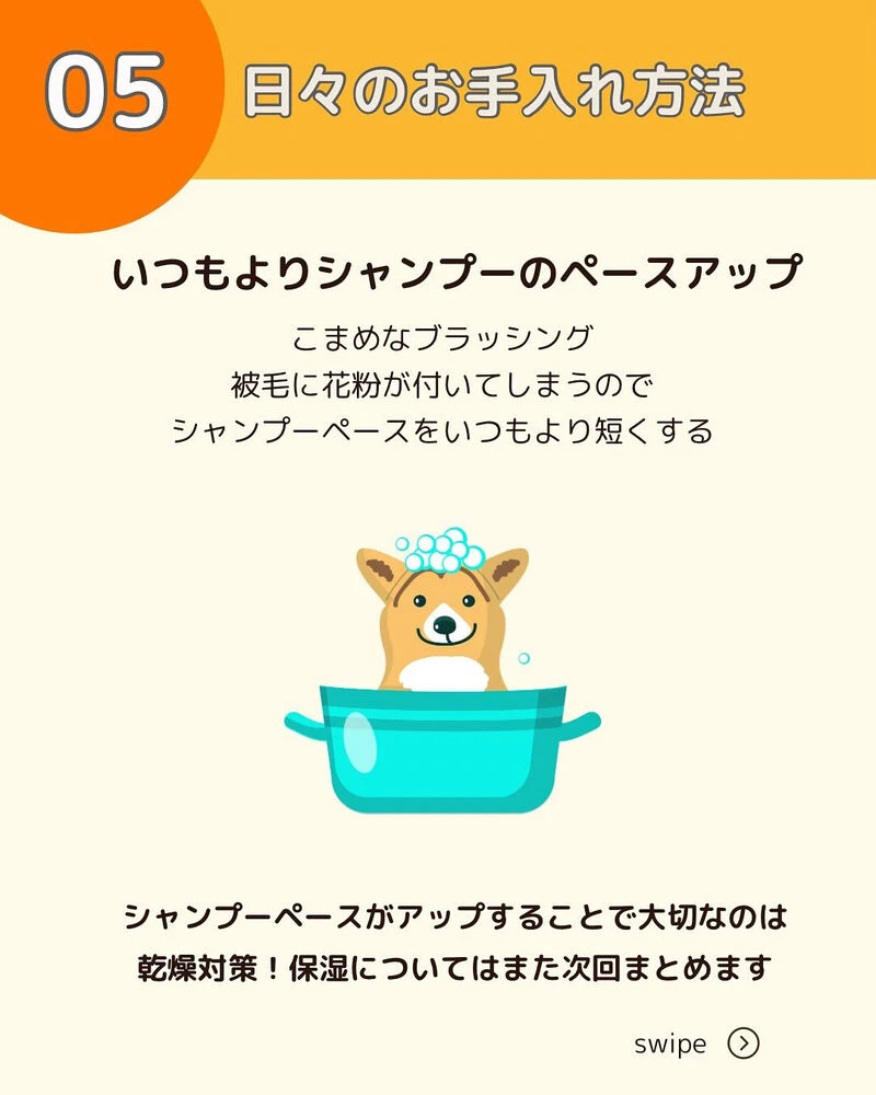 ブログ