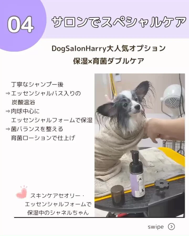 ブログ