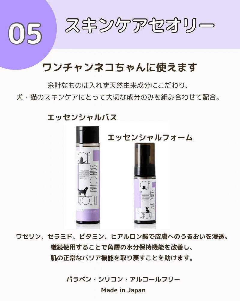 ブログ