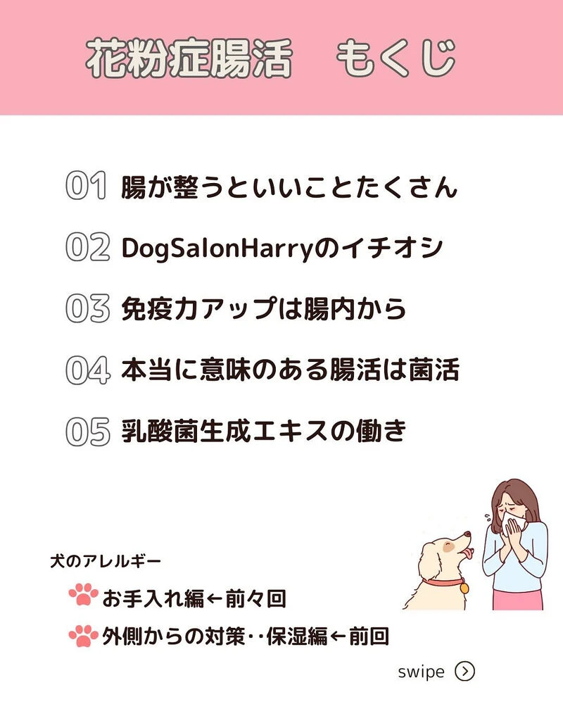 ブログ