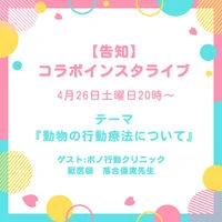 ブログ