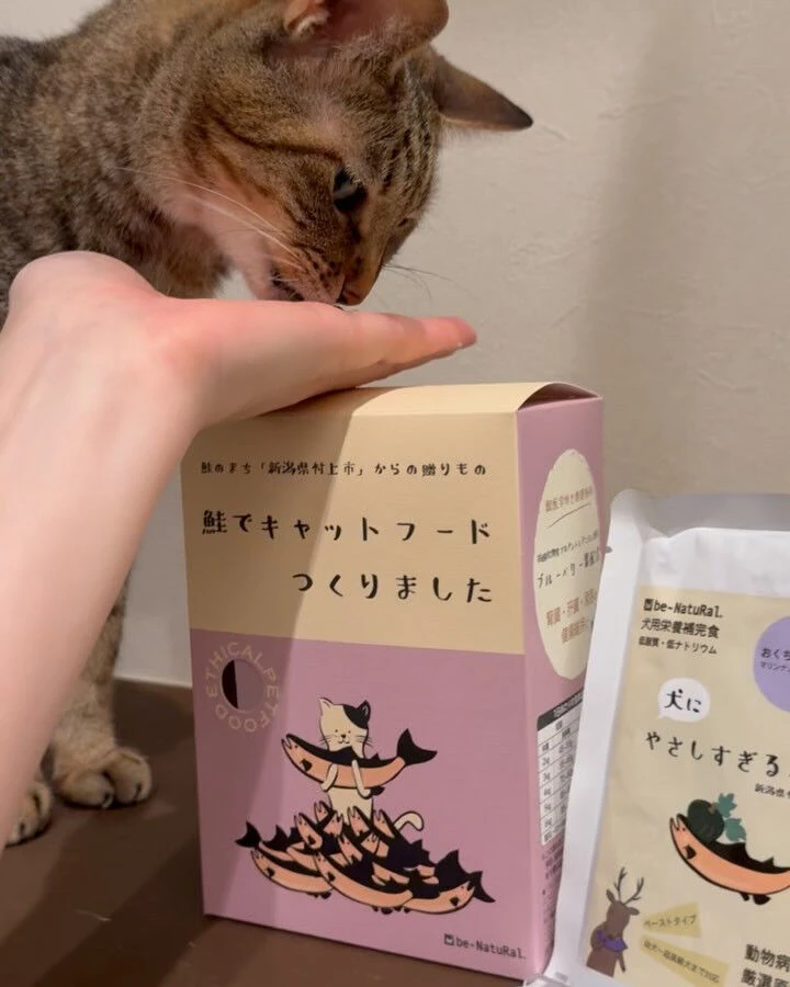 ブログ