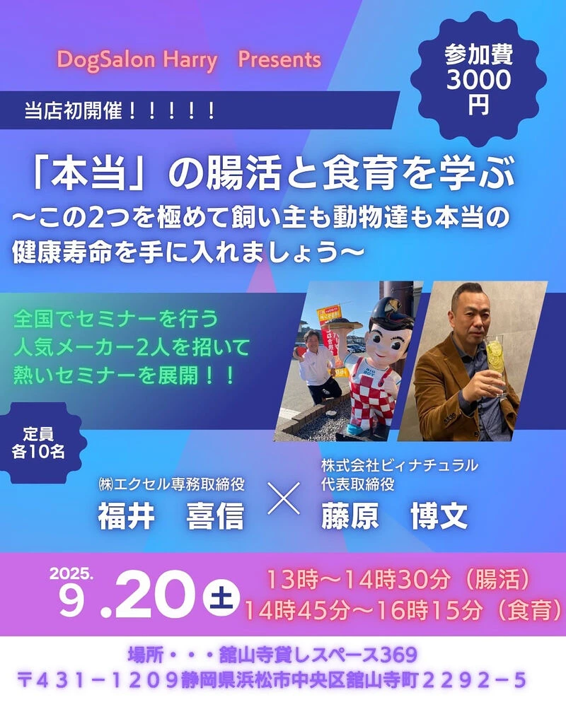 ブログ