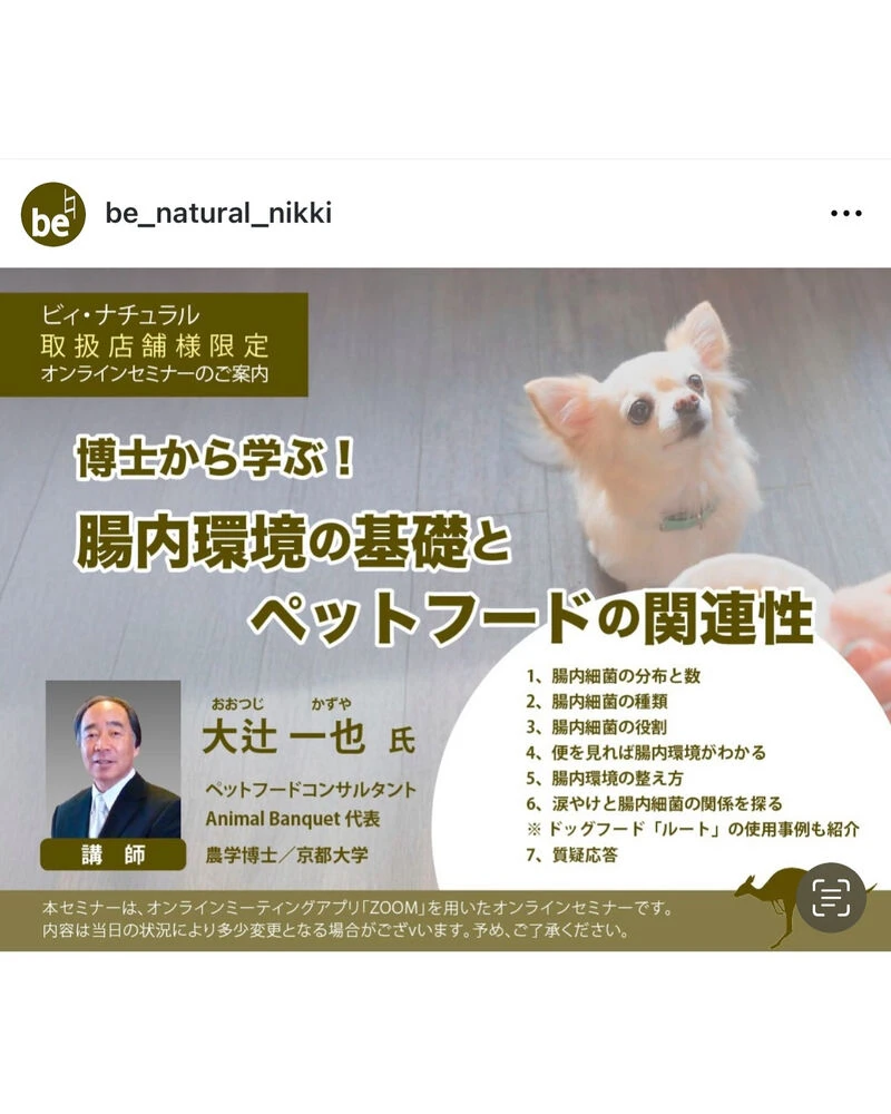 ブログ