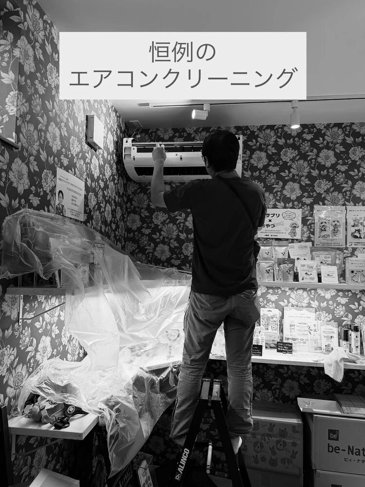ブログ