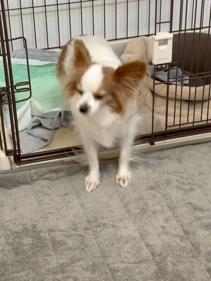 ブログ