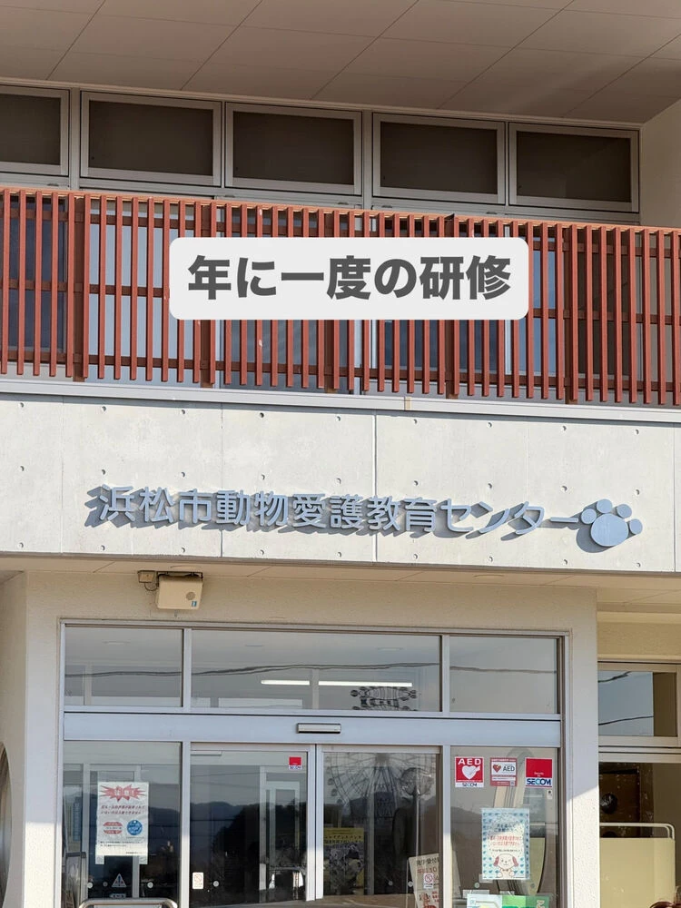 ブログ