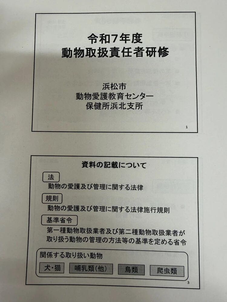 ブログ
