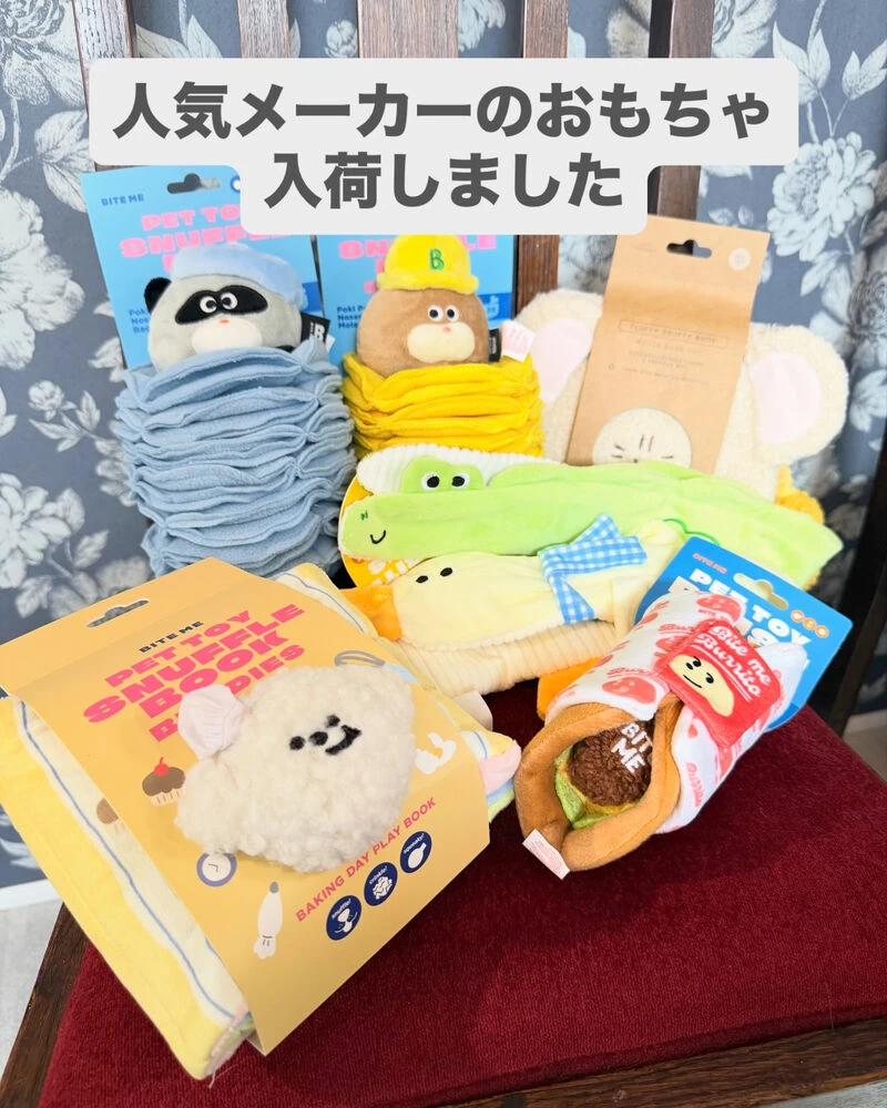 ブログ