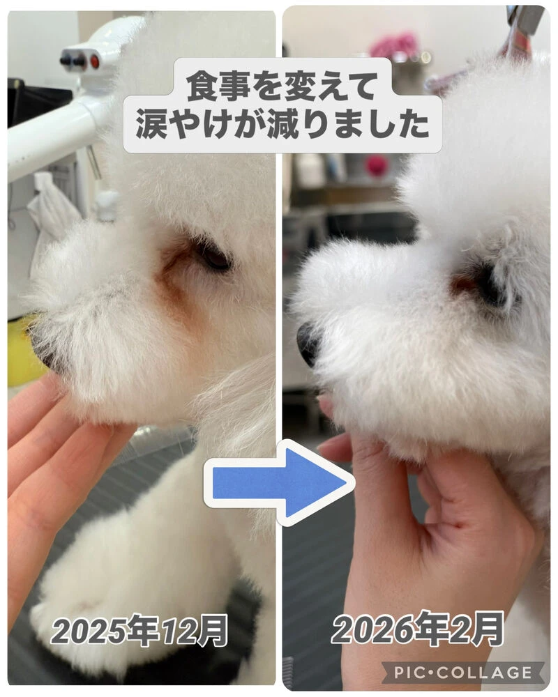ブログ