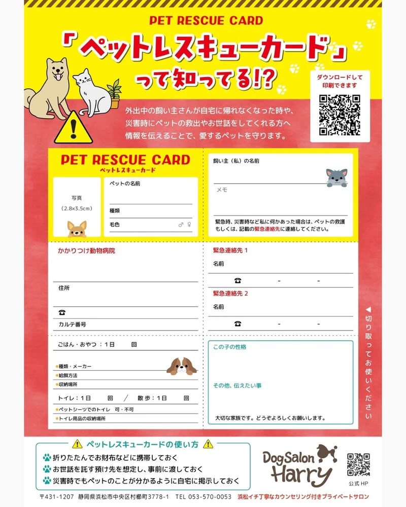 ブログ