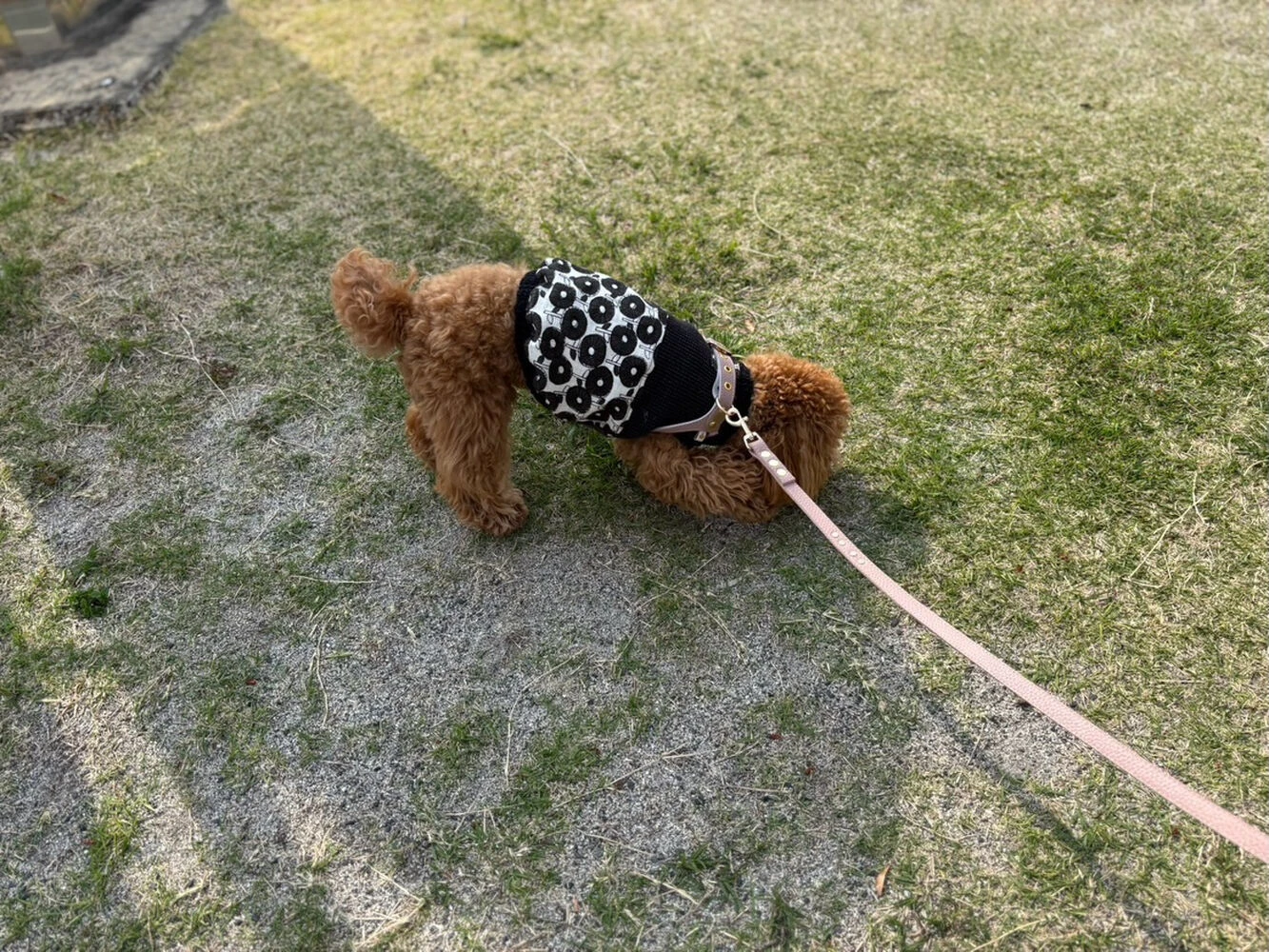 ブログ