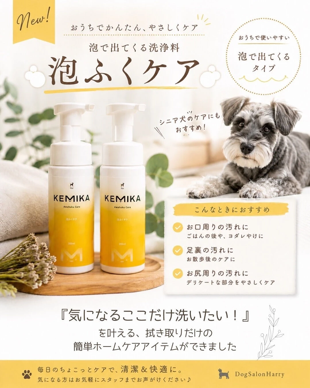 ブログ