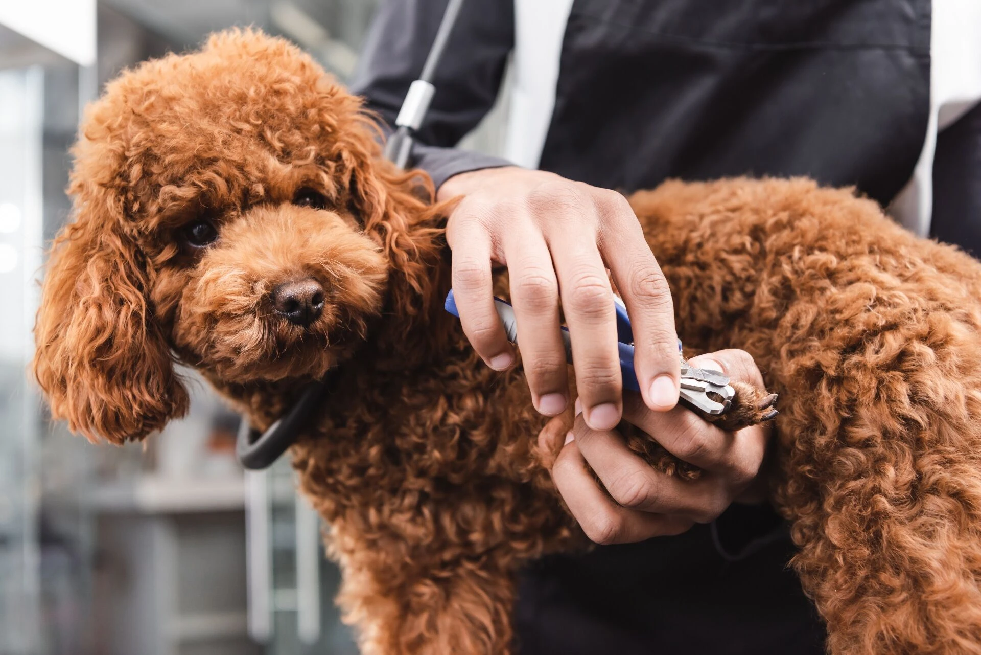 AdobeStock_488877881