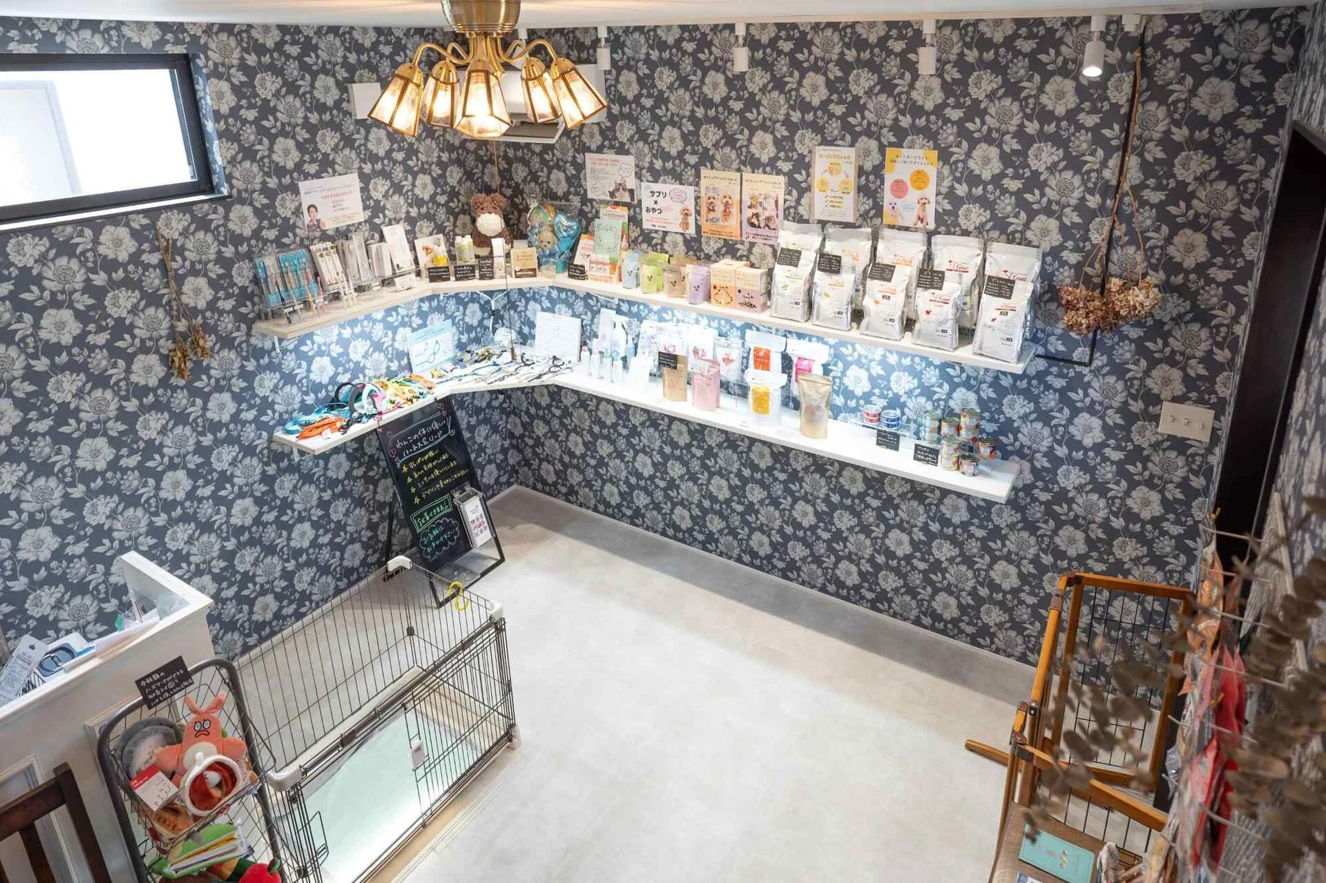 DogSalonHarry_03